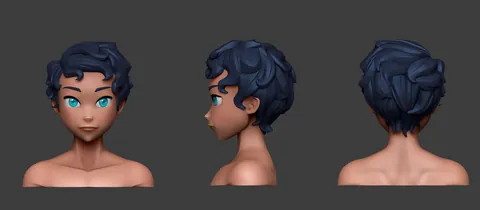 Hair: hair 016
